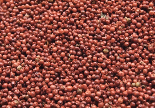 Close up view of a large amount of red pepper corns