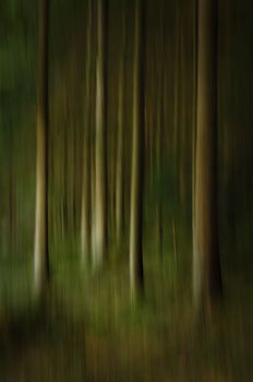 An abstract artistic photo of trees in a forest. Brooding dark image with creative blur done in camera.