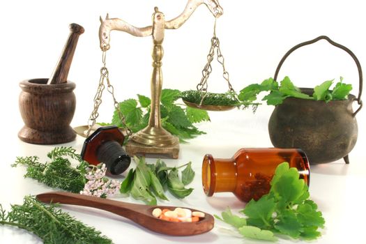 Pharmacists scale with mortars, Apothecary bottle and fresh herbs