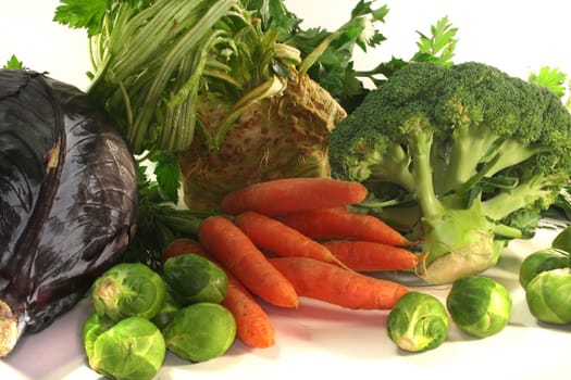 Red cabbage, broccoli, celery, carrots and Brussels sprouts on white background