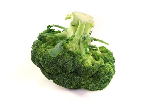 green head of broccoli on a white background