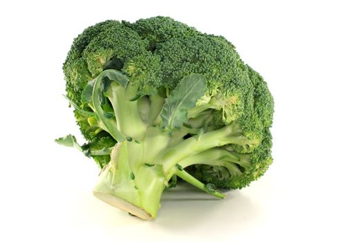 green head of broccoli on a white background