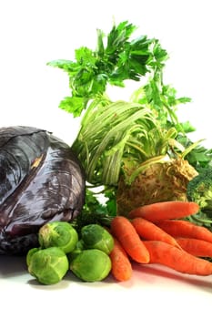 Red cabbage, broccoli, celery, carrots and Brussels sprouts on white background