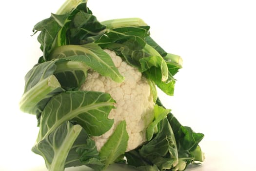 fresh head of Cauliflower on a white background