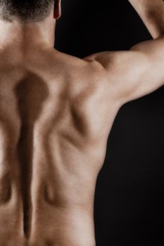 An image of a muscular male back