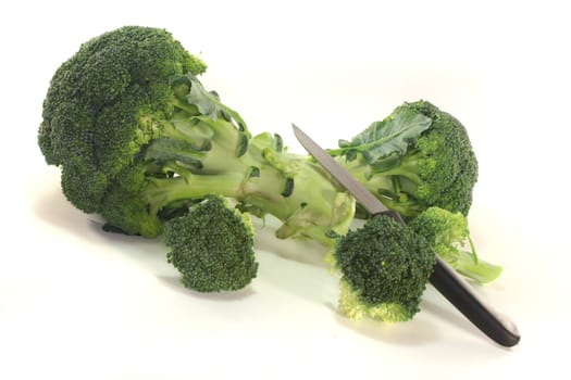 two green heads of broccoli on a white background