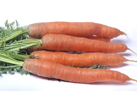 Carrot on a white background