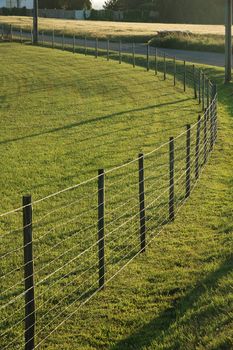 Fence in a meadow