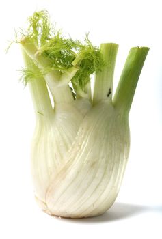 Fennel