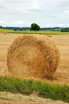  Round straw bales in harvested fields 