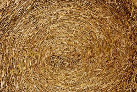 Round straw bales in harvested fields 