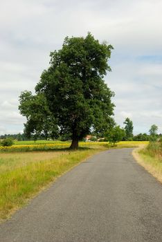 Country road