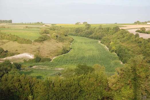 Rural landscape in Charentes