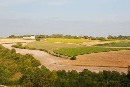 Rural landscape in Charentes