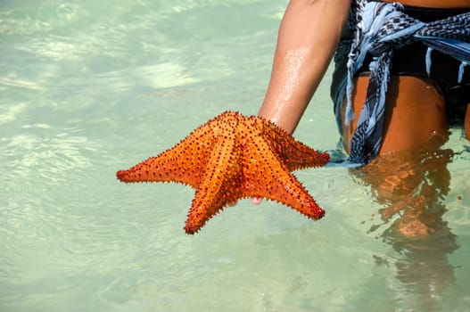 A woman is holding a red starfish in her hand.