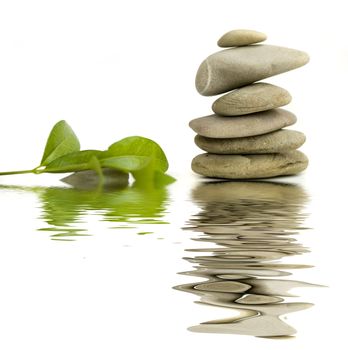 balanced spa stones with green plant and water reflection isolated on white background