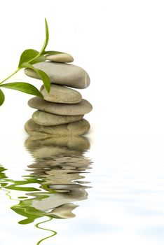 balanced spa stones with green plant and water reflection isolated on white background