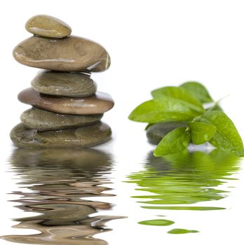 balanced spa stones with green plant and water reflection isolated on white background