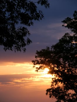 Beautiful Midwest sunset with silhouetted oak trees.