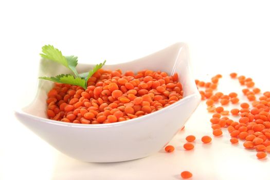 dried red lentils with coriander on a white background