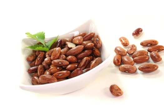 red mottled and dried pinto beans on white background