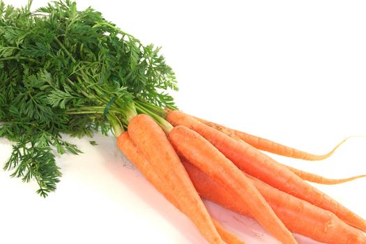 a bundle of carrots on a white background