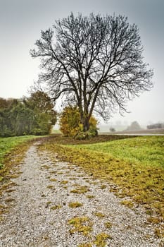 An image of a beautiful landscape with fog in bavaria germany