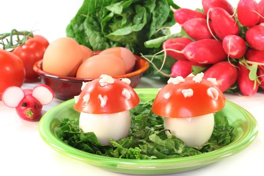 vegetarian cold cuts with eggs, tomatoes, radishes and lettuce