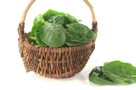 fresh green spinach leaves in a basket on white background