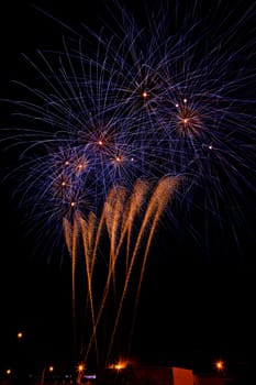 Firework streaks in the night sky