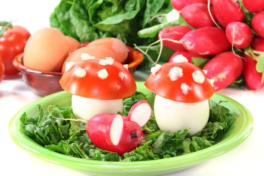 vegetarian cold cuts with eggs, tomatoes, radishes and lettuce