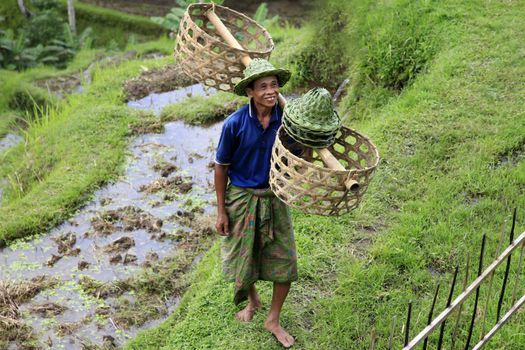 BALI. INDONESIA - 07 July 2010: Adult asian man with empty baskets for a grass 7 july 2010 on Bali. Indonesia