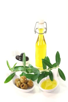 Olive oil with olives and olive branch served in bite spoons