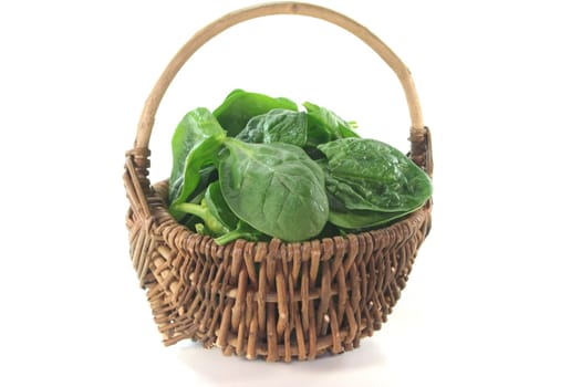 fresh green spinach leaves in a basket on a white background