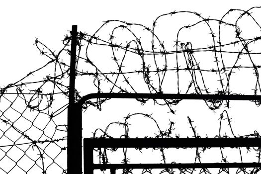 fence with barbed wire