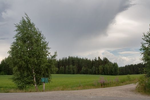 Rural postboxes on the edge of a meadow