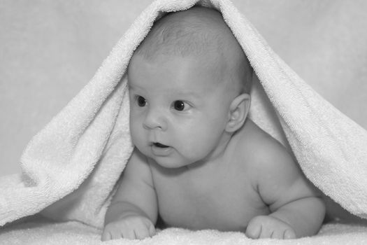 newborn baby under towel