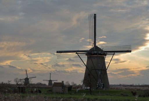 Windmills in sunset - Kinderdijk, the Netherlarnds