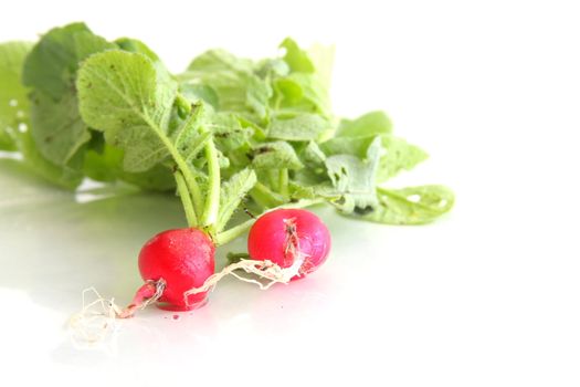 A couple of cherry belle radishes on white