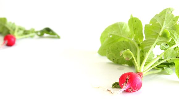 A couple of cherry belle radishes on white