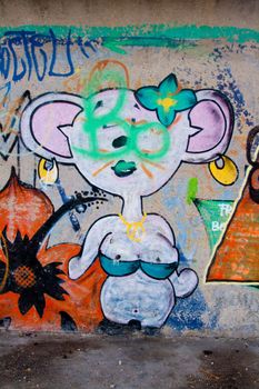 Sample of a kind of urban culture that comes true on the basis of painting the walls with spray and that commonly  is called Graffiti