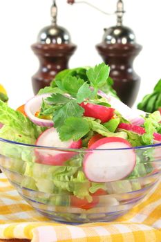 mixed salad with lettuce, radishes, tomatoes and parsley