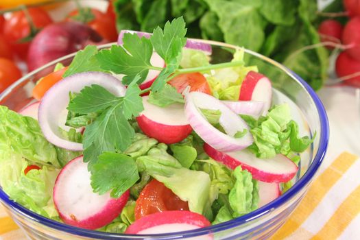 mixed salad with lettuce, radishes, tomatoes and parsley