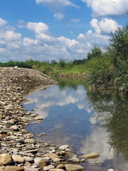 Small river with stones