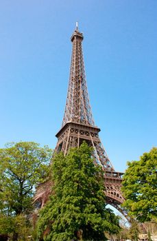 View of the Eiffel tower with trees and nice blue sky