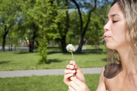 young girl blowing on the dandelion in park