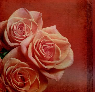 vintage card wit roses