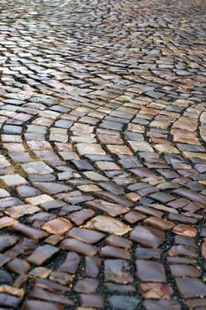 Paving stone after rain