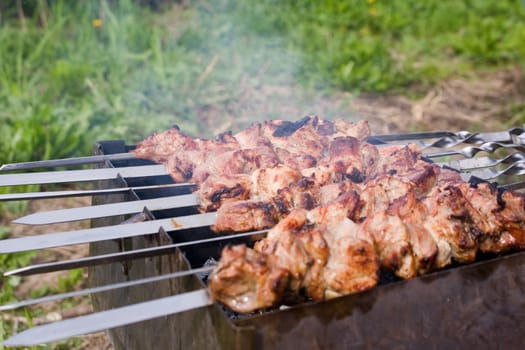 Tasty shashlik on a skewers