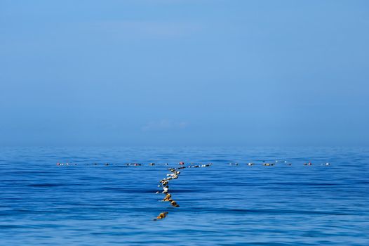 Fishing Net on the surface of the sea
